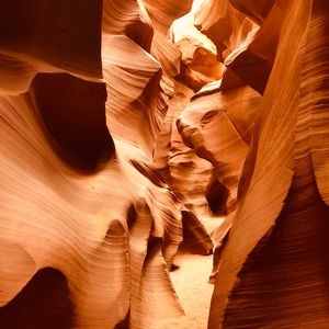 Meet your Posher, Miriam